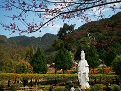-灵光寺