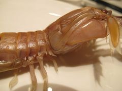 -骏莱海鲜鱼港(五角场店)