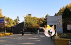 -将府公园儿童游乐场