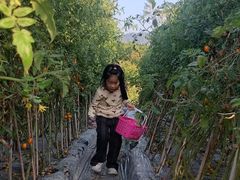 -风云岭森林公园