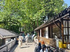 -竹子咖啡bamboo coffee