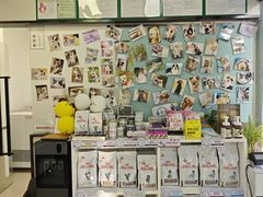 -爱妮康宠物医院·干细胞免疫细胞·肿瘤·心脏(张江店)