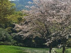 -中国茶叶博物馆(双峰馆区)