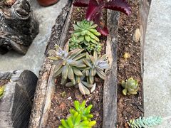 -璞真扎染博物馆