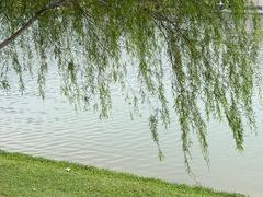 -东莞植物园