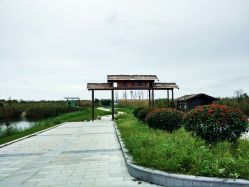 -水八仙生态园