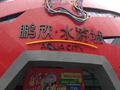 -鹏欣水游城