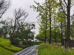 -铁山坪森林公园