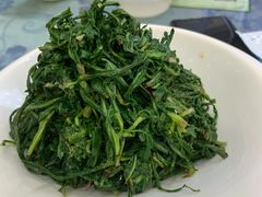 凉拌苦苦菜-老毛手抓·盐池滩羊非遗手抓(宁夏总店)