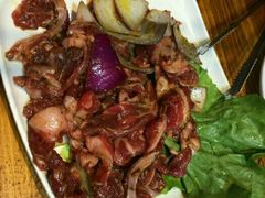 -丹东特色烤肉(学府路一部店)