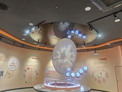 -陕西自然博物馆