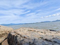 -深圳湾公园(南山区)