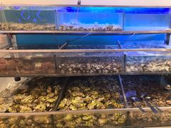 -海天一色海景自助餐厅(西港花园店)