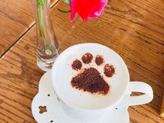 -猫小院猫主题咖啡厅(北锣店)