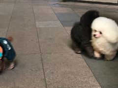 -大斌家串串火锅(德思勤店)