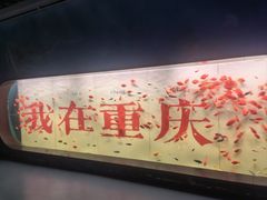 -重庆欢乐海底世界