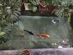 -燕北云山·农家菜·灶台鱼(密云溪翁庄店)