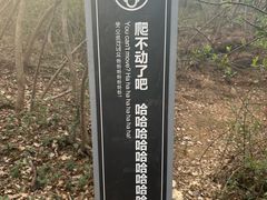 -浮槎山