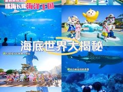 -珠海长隆海洋王国