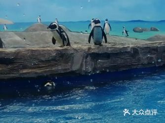 北京三个海洋馆打卡攻略