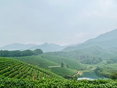 -午潮山国家森林公园