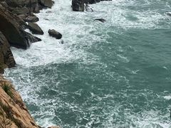 -广东惠东海龟国家级自然保护区