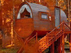 -黄海国家森林公园