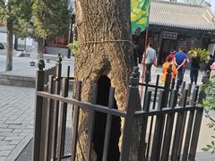 -保定直隶总督署博物馆