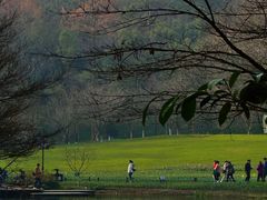 -虎跑公园