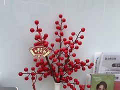 -牙博士口腔品牌连锁(杨浦店)