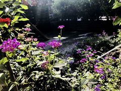-莉莉家的音乐花园餐吧(航空路店)