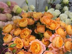 -L.C FLORA花予你(城西银泰城店)