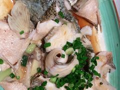 功夫鲈鱼-大榕树下顺德菜(融创茂店)