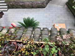 -龙井壹号·茶缘山景宴(龙井村店)