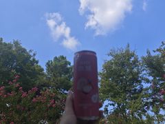 -东湖落雁景区