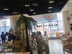 -藏猫猫咖啡主题馆(中央大道店)