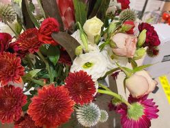 -Oasis Beauty水磨坊科技美肤中心