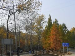 -白水寺森林公园