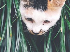 -苏州河梦清园环保主题公园