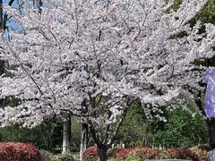 -江南大学(蠡湖校区)