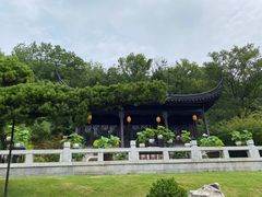 -金典银峰老鹅馆·昆山菜(亭林公园店)