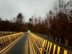 -福道