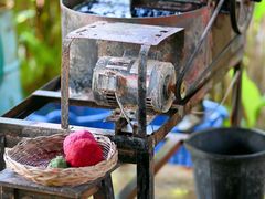 -大象粑粑造纸公园