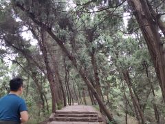 -金堂县云顶石城风景区