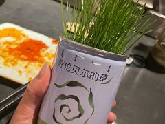 -很久以前羊肉串(朝阳路店)
