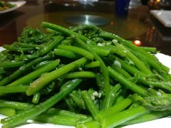 南瓜苗-廉江鹅饭店