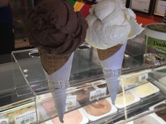 -Dooley's Premium Ice Cream