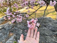-重元寺