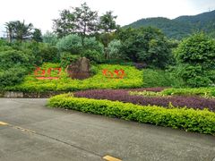 -广州市石门国家森林公园