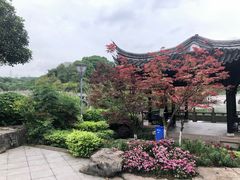 -重庆园博园